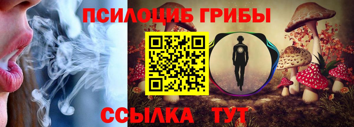 Псилоцибиновые грибы MAGIC MUSHROOMS  Вход с VPN  Россия  закладки  Галлюциногенные грибы MAGIC MUSHROOMS 